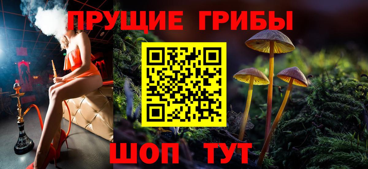 Клинцы  Галлюциногенные грибы прущие грибы  где можно купить   Вход с VPN 