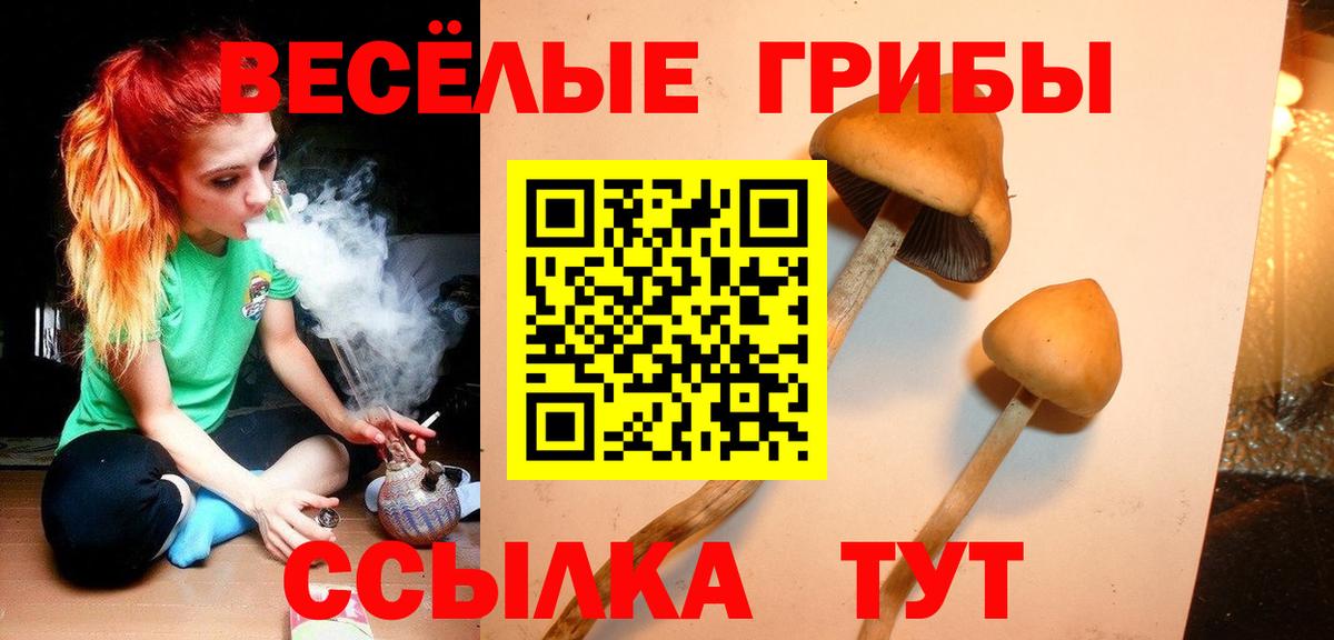 Галлюциногенные грибы мухоморы Клинцы